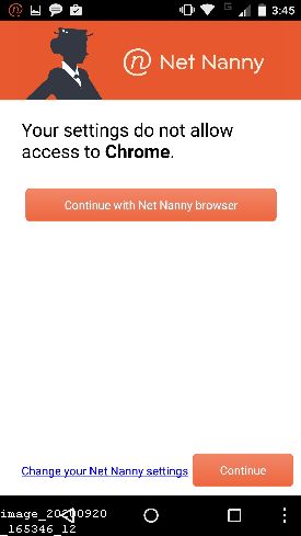 Does Net Nanny Block Ads